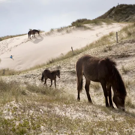 Aan Zee En Duin Holiday home