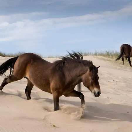 Aan Zee En Duin Σπίτι διακοπών Egmond aan Zee