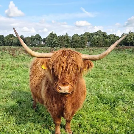 Aan Zee En Duin Σπίτι διακοπών *