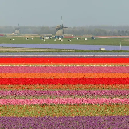 Aan Zee En Duin Prázdninový dům Egmond aan Zee