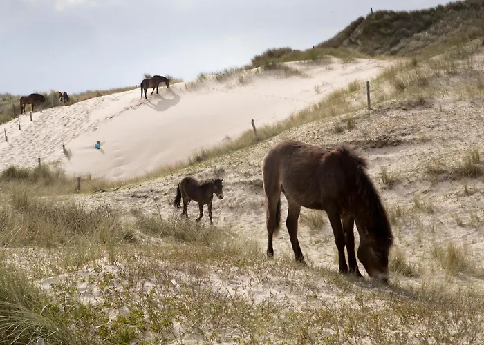 Aan Zee En Duin בית נופש