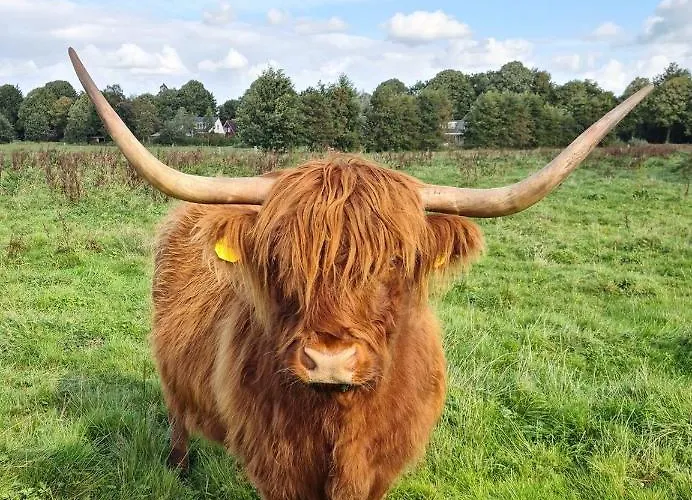 Aan Zee En Duin בית נופש *