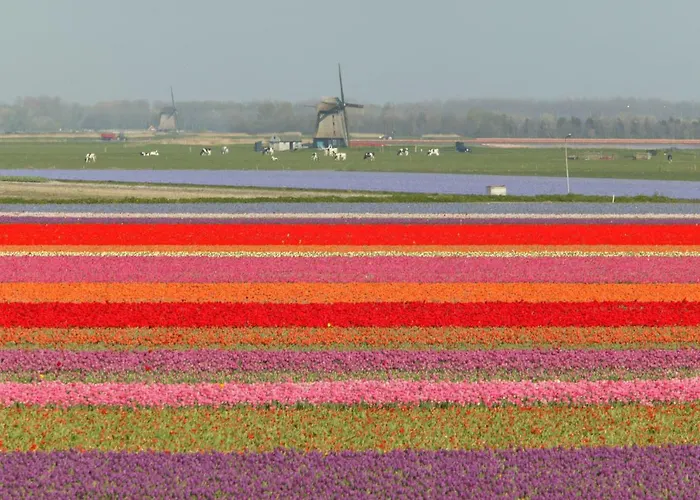 Aan Zee En Duin בית נופש אגמונד אן זי