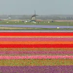 Aan Zee En Duin Tatil Evi Egmond aan Zee